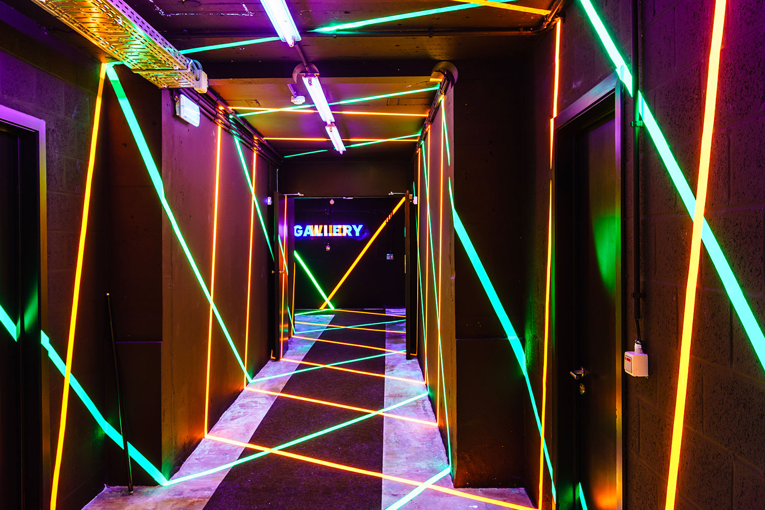 Wild Gallery - couloir - 5