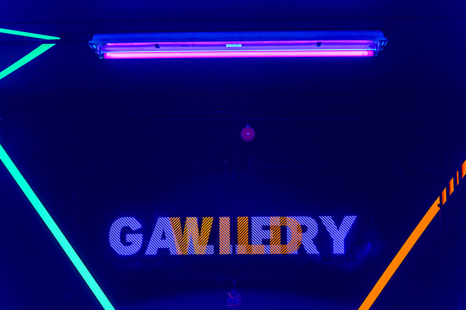 Wild Gallery - couloir - 7