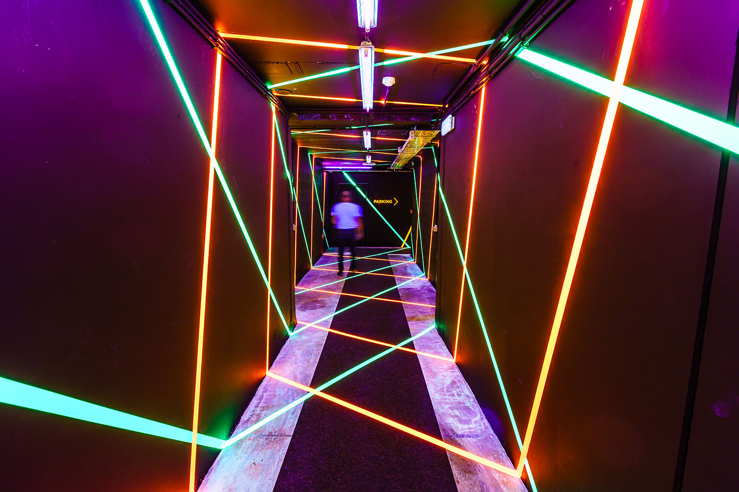 Wild Gallery - couloir - 8